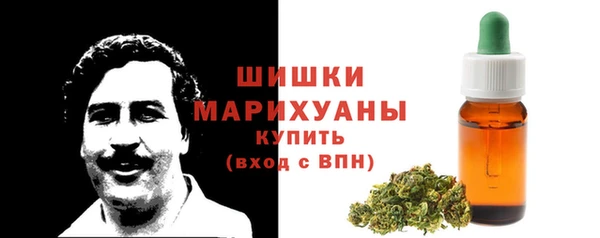 МДПВ Козельск