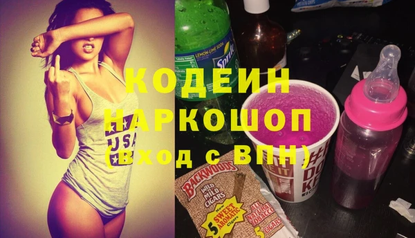 индика Абаза